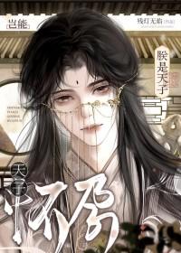 朕是天子岂能怀孕番外