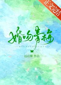 婚吻青梅番外