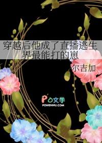穿越后他成了直播逃生界最能打的崽作者吉尔吉加