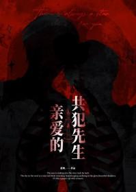共犯先生免费阅读