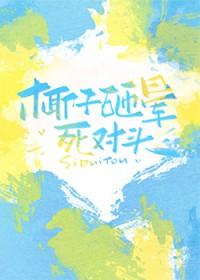 有人被椰子砸死过吗