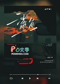 鲨鱼属于什么类动物