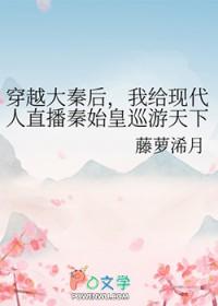 穿越大秦和秦始皇合作