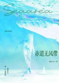 赤道无风带by微风几许TXT百度