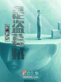 听说我是盗墓贼免费阅读