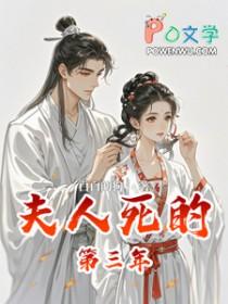 夫人死的第三年by白白的狗