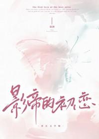影帝的初恋37章