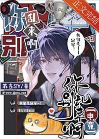 你别乱来无防盗