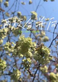 两校合并后by小西饼