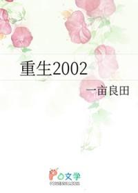 重生2002之潇洒人生