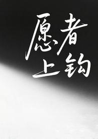 愿者上钩gl全文阅读炫