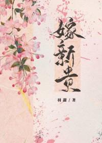 嫁新贵免费阅读褚瑜安