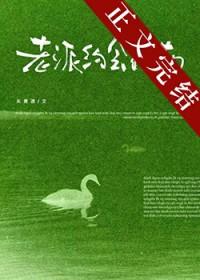 老派约会指南沈从谦