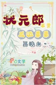 状元家的傻儿子