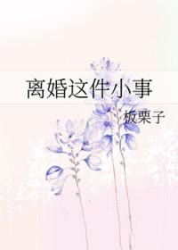 离婚这件小事by板栗子全文免费阅读