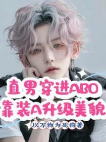 直男穿进ABO靠装A升级美貌主角是谁