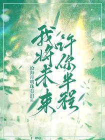 许我未来是什么意思