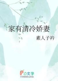 家有冷妻