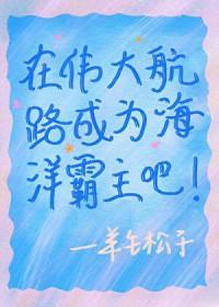 我在伟大航路当英雄
