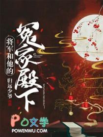 将军和他的冤家殿下讲的是什么