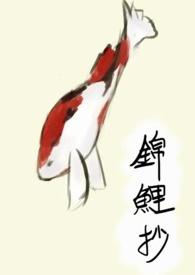 锦鲤抄钢琴曲