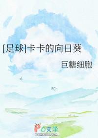 足球卡卡是谁