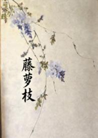 藤萝枝作者JUEtxt