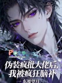 伪装大佬是什么