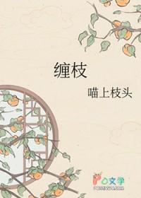 缠枝莲纹