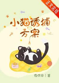 捕猫用什么诱饵