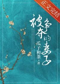 被争夺的妻子by瓜子和茶百度