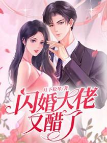 闪婚大佬后短剧免费观看
