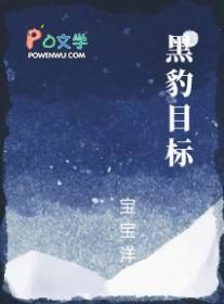 黑豹vn