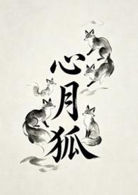 二十八星宿心月狐
