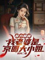 权力巅峰我老婆是京圈大小姐第二季