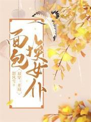 双穿开局面包换女仆林晨