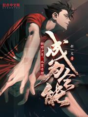 排球少年拿到全国冠军