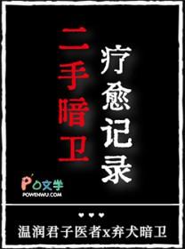 二手暗卫疗愈记录TXT