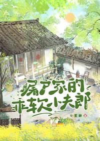 屠户家的乖软小夫郎by七里濑百度