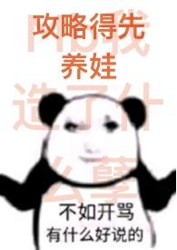 攻略panan