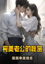 完美的丈夫