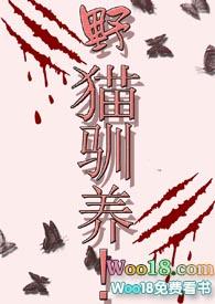 野猫驯养免费阅读