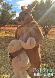 围床夜话父女若飞在线