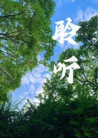 聆听(校园1v1)作者dearfairy著