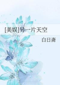 [美娱同人] 另一片天空
