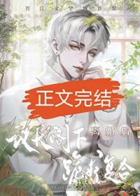 和联邦议长结婚后